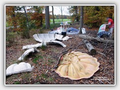 41) Rubber en kappen in het  bos